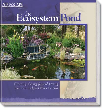 THE ECOSYSTEM POND